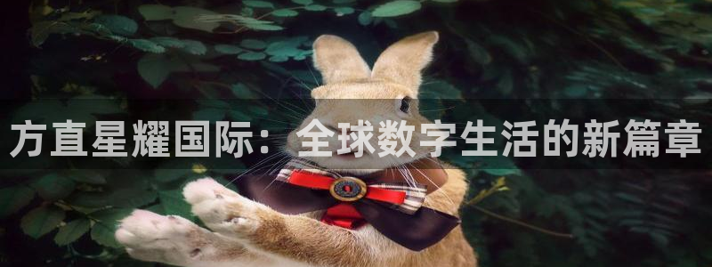 琳琅娱乐平台登录入口：方直星耀国际：全球数字生活的新篇章