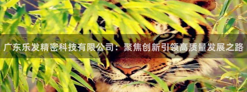 琳琅娱乐f凯捷平台在线注册：广东乐发精密科技有限公司：聚焦创新引领高质量发展之路