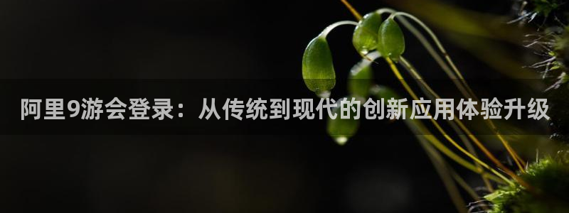 琳琅娱乐体育3：阿里9游会登录：从传统到现代的创新应用体验升级
