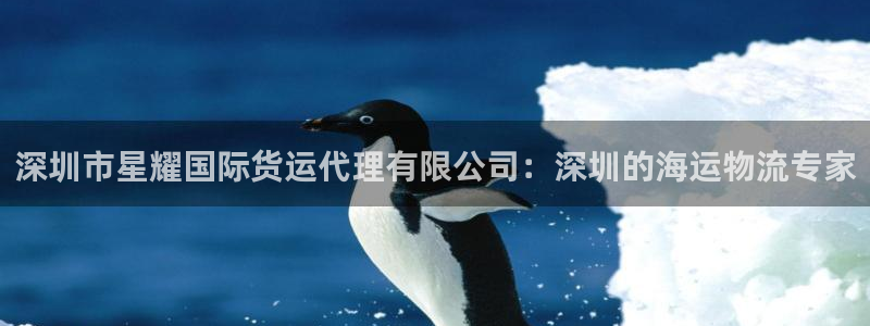琳琅娱乐体育eon：深圳市星耀国际货运代理有限公司：深圳的海运物流专家