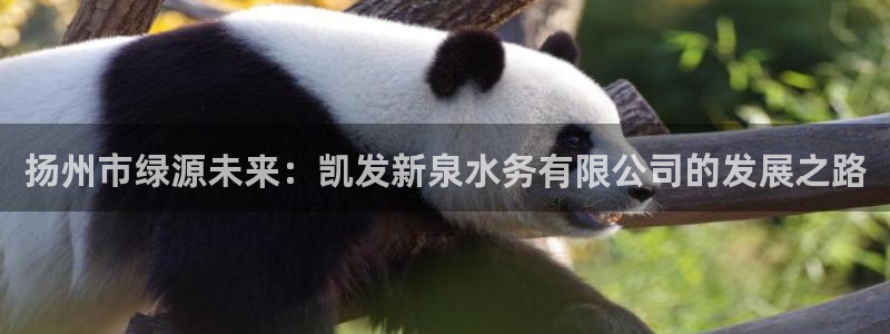 琳琅娱乐平台官方网站：扬州市绿源未来：凯发新泉水务有限公司的发展之路