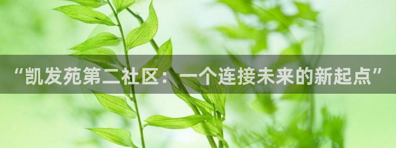 琳琅娱乐是啥：“凯发苑第二社区：一个连接未来的新起点”