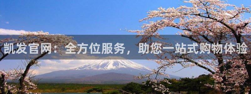 琳琅娱乐：凯发官网：全方位服务，助您一站式购物体验