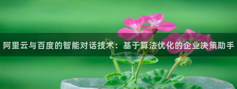 琳琅娱乐体育网页版入口：阿里云与百度的智能对话技术：基于算法优化的企业决策助手
