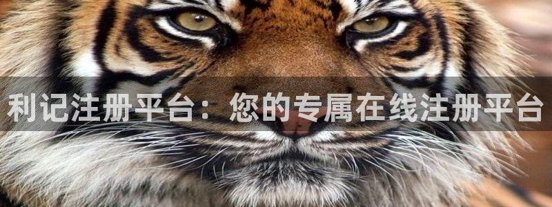 琳琅娱乐路线1：利记注册平台：您的专属在线注册平台