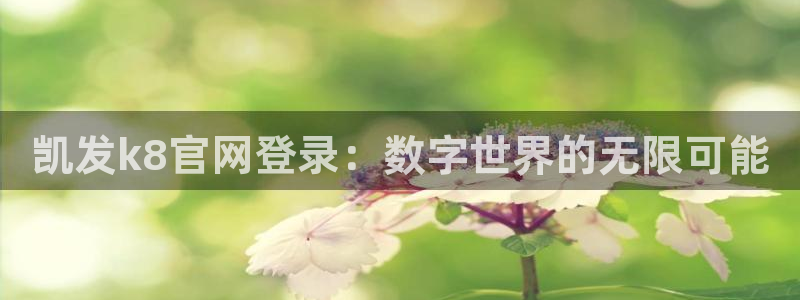 琳琅娱乐平台最新版本下载：凯发k8官网登录：数字世界的无限可能