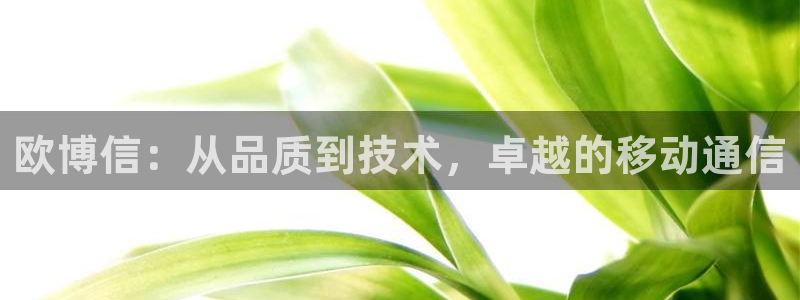 琳琅娱乐体育注册：欧博信：从品质到技术，卓越的移动通信