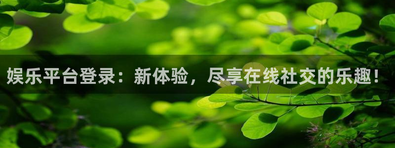 琳琅娱乐主管：娱乐平台登录：新体验，尽享在线社交的乐趣！