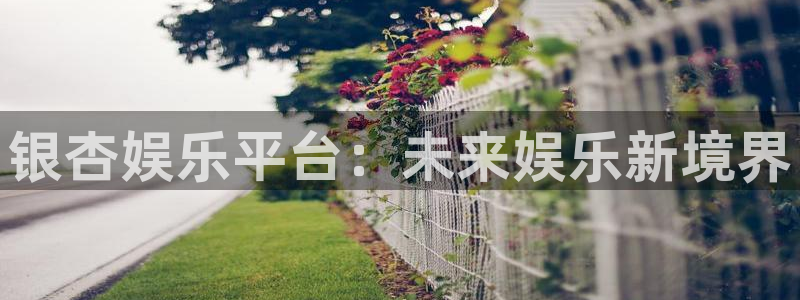 琳琅娱乐.ccmpc29官网版下载：银杏娱乐平台：未来娱乐新境界