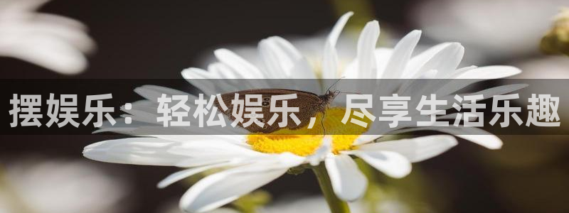 琳琅娱乐电子娱乐官网下载：摆娱乐：轻松娱乐，尽享生活乐趣