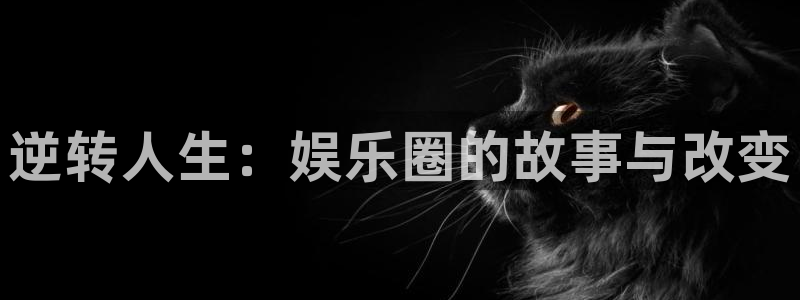 琳琅娱乐分红代理计划：逆转人生：娱乐圈的故事与改变