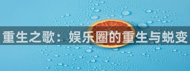 琳琅娱乐3代理：重生之歌：娱乐圈的重生与蜕变