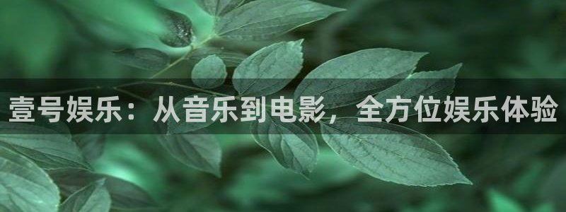 琳琅娱乐2注册：壹号娱乐：从音乐到电影，全方位娱乐体验