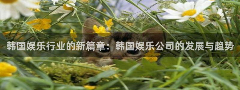 琳琅娱乐是正规平台吗：韩国娱乐行业的新篇章：韩国娱乐公司的发展与趋势