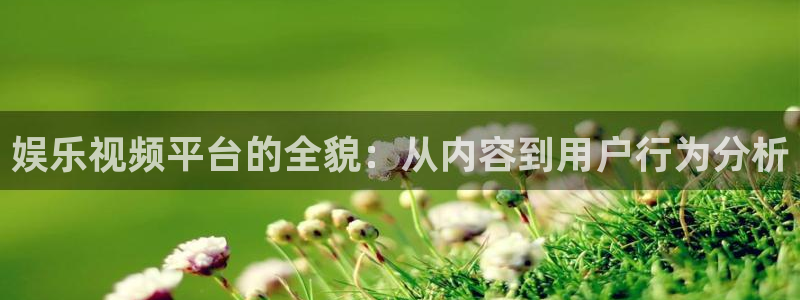 琳琅娱乐平台最新版本下载：娱乐视频平台的全貌：从内容到用户行为分析