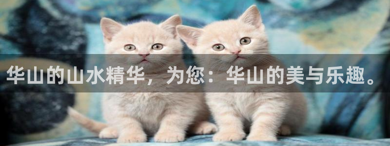 琳琅娱乐体育凯捷平台注册：华山的山水精华，为您：华山的美与乐趣。
