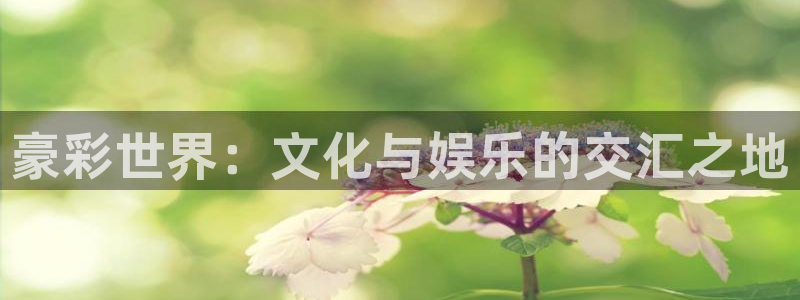 琳琅娱乐3代理