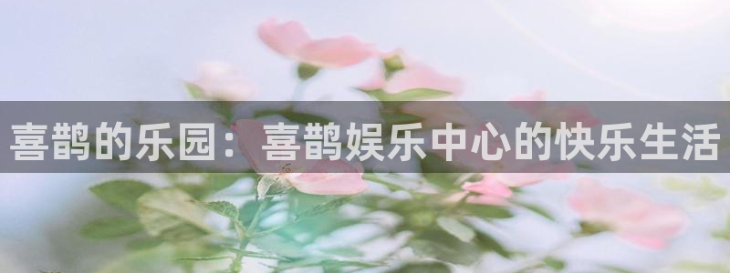 琳琅娱乐4代理