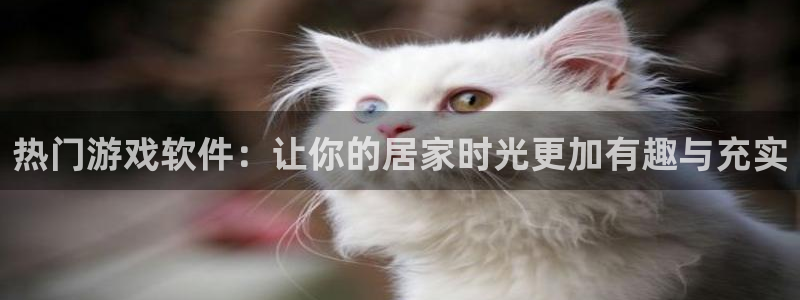 琳琅娱乐平台链接：热门游戏软件：让你的居家时光更加有趣与充实