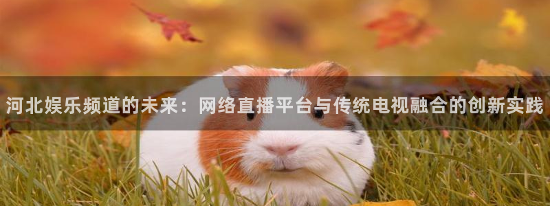 琳琅娱乐平台注册：河北娱乐频道的未来：网络直播平台与传统电视融合的创新实践