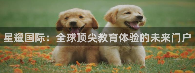 琳琅娱乐.ccmpc正版官网版下载：星耀国际：全球顶尖教育体验的未来门户
